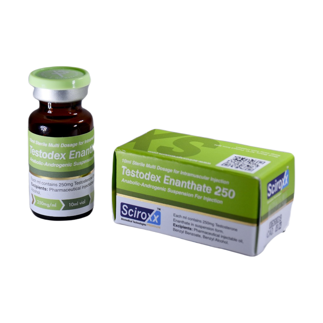 Testosterona Enantato 250 mg/ml Testodex Enantato Vial 10 ml SCIROXX