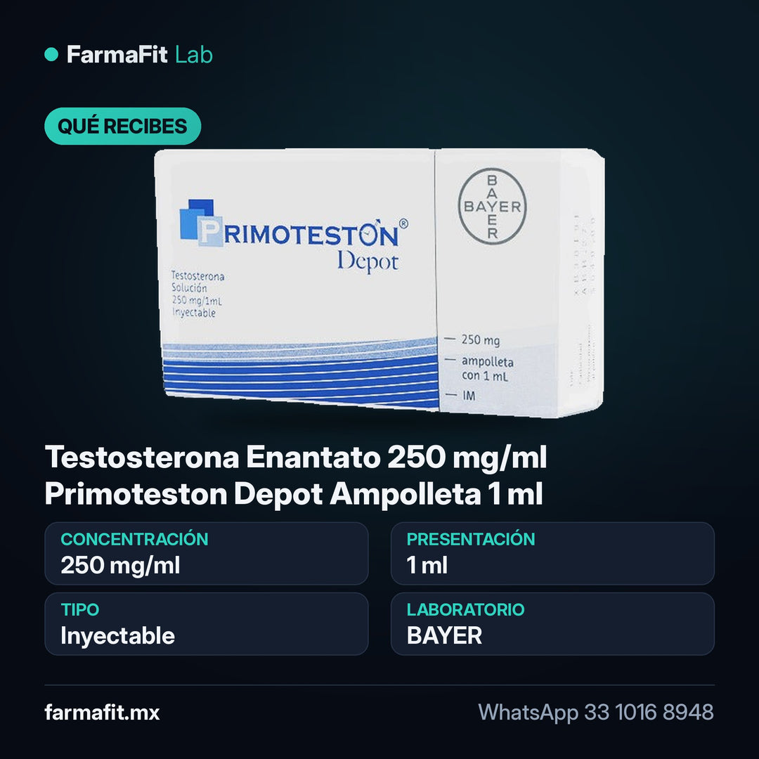 Qué recibes: Testosterona Enantato 250 mg/ml Primoteston Depot Ampolleta 1 ml - BAYER